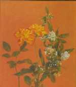 �~�j�o���Ə���{