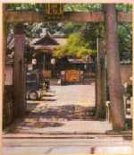 �����_��