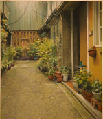 ��m�A�g���G�j�����}�X